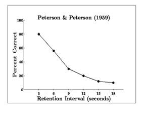 Peterson & Peterson duration of short term memory
